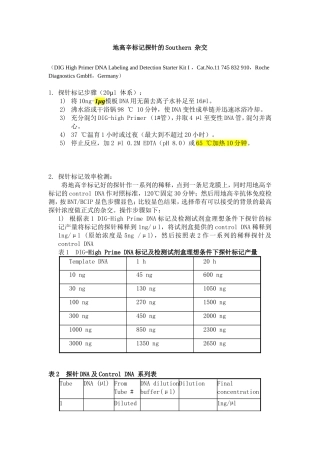 地高辛标记探针的Southern 杂交