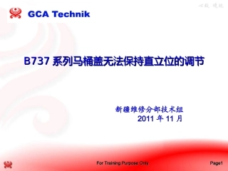 B737系列马桶盖保持直立位的调节 (PPTminimizer)