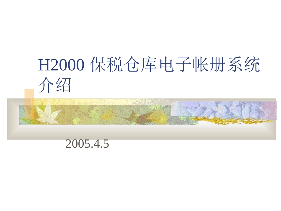 H2000保税仓库电子帐册系统_第1页