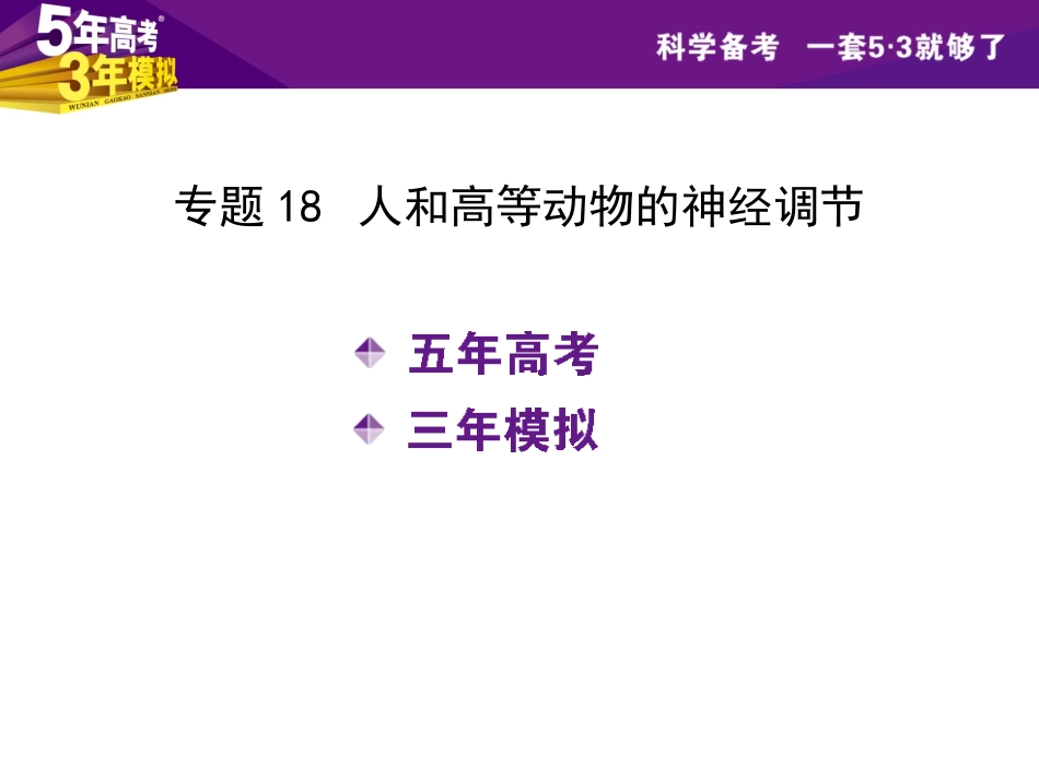 【5年高考3年模拟】2015高考生物一轮复习课件：专题18 人和高等动物的神经调节_第2页