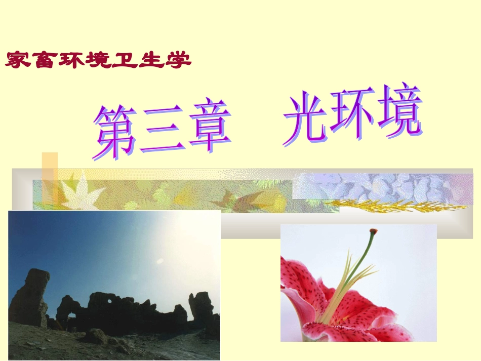 第3章 光环境_第1页