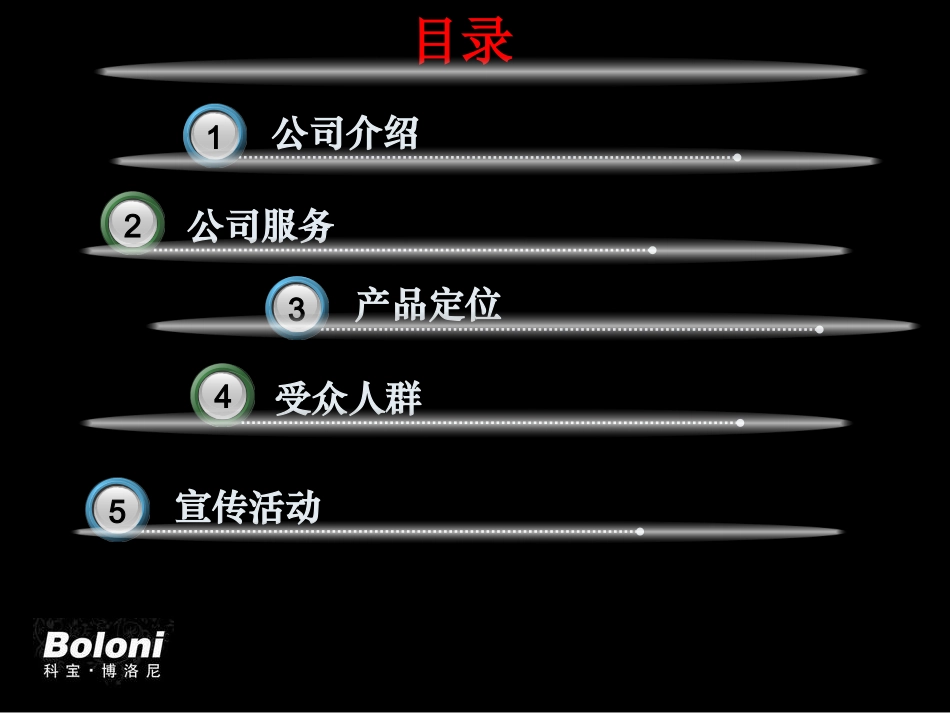 博洛尼营销宣传策划方案_第2页