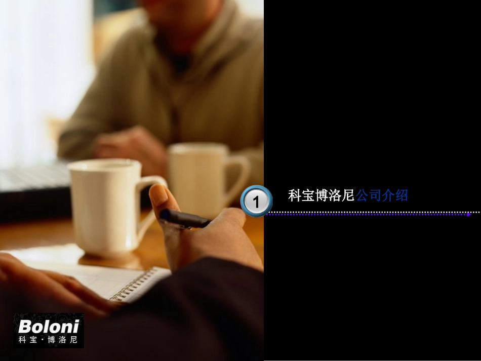 博洛尼营销宣传策划方案_第3页