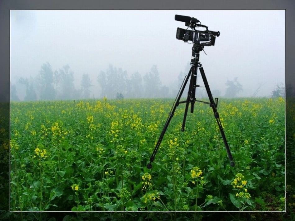 z三角形的稳定性3_第2页