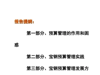 宝钢全面预算管理
