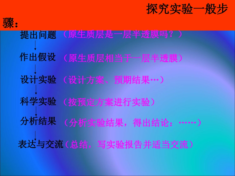 第3课时1.4.2《生物膜的流动镶嵌模型》课件_第2页