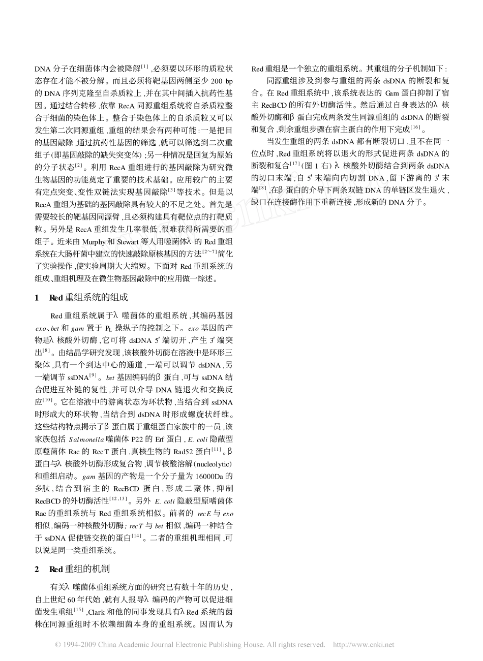 Red重组系统及在微生物基因敲除中的应用_第2页