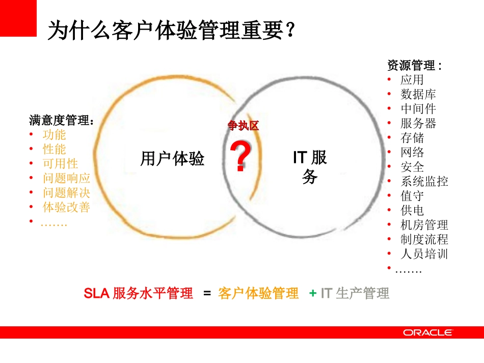 ORACLE RUEI 原理_第3页