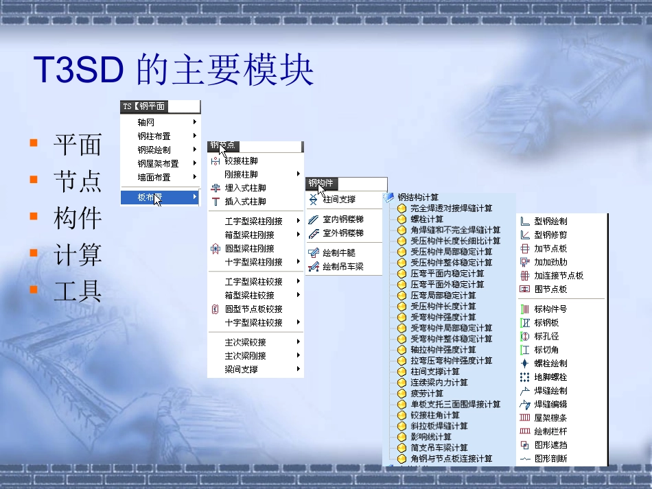 T3SD-钢结构工具演示_第3页