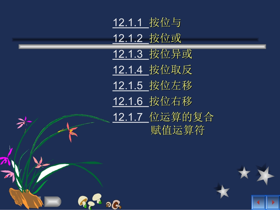 C语言具有位逻辑运算和移位运算的独特功能_第2页