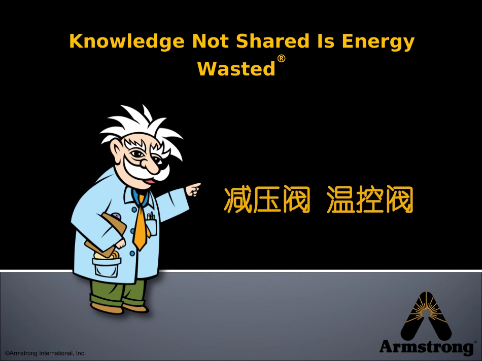 阿姆斯壮减压阀温控阀PPT-2010_第1页