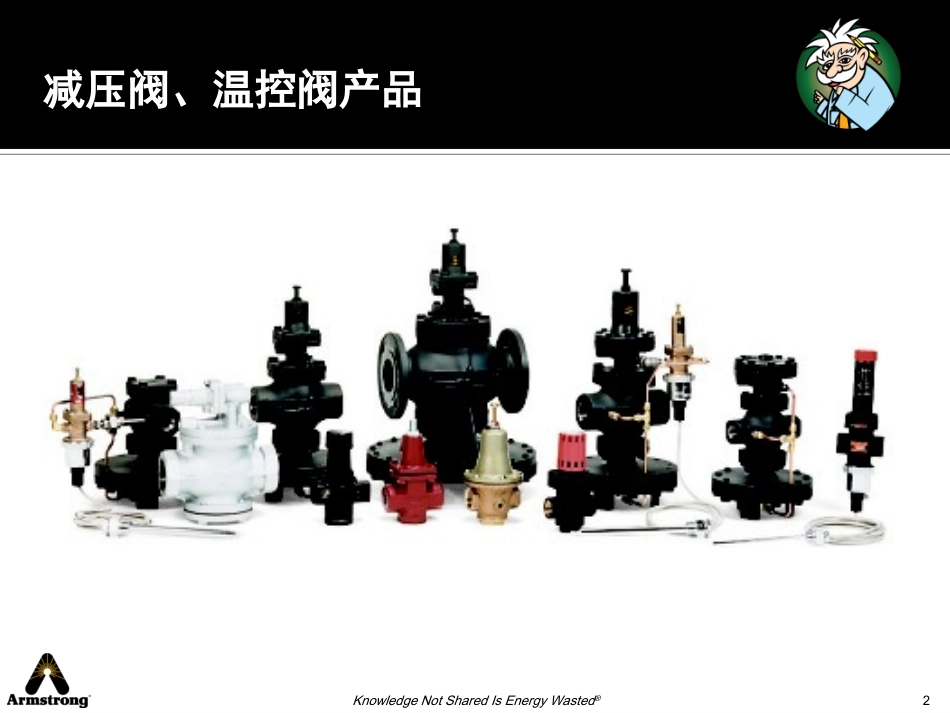 阿姆斯壮减压阀温控阀PPT-2010_第2页
