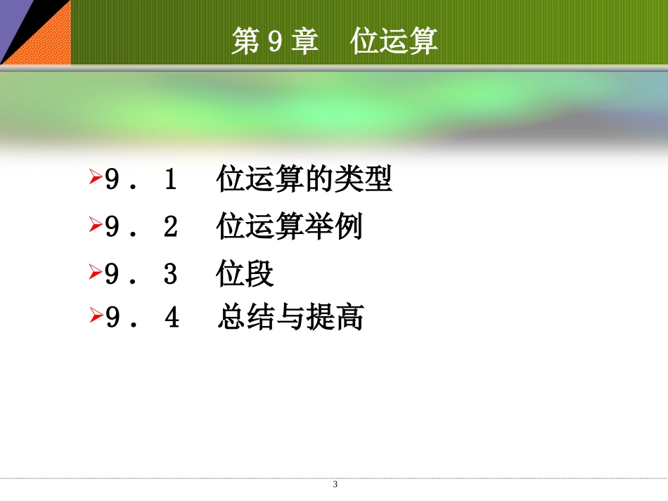 第9章 位运算_第3页