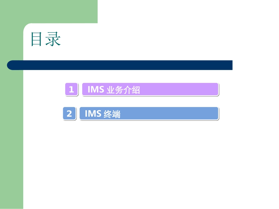 IMS_业务介绍_第2页