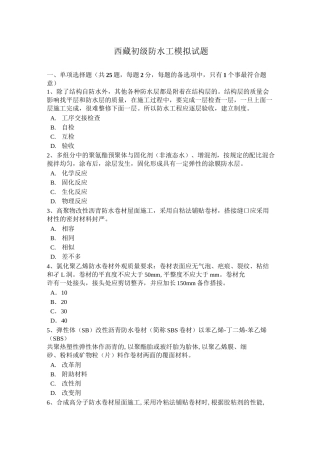 西藏初级防水工模拟试题
