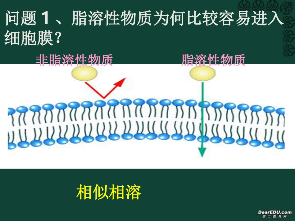 第4章第2节 生物膜的流动镶嵌模型_第3页