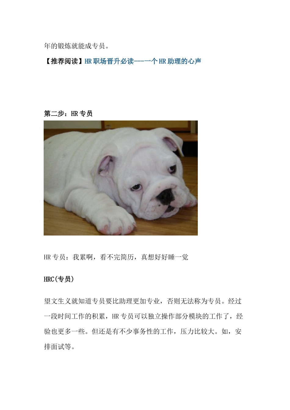 HR职业发展的两个方向_第3页