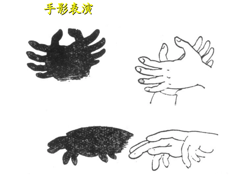 《投影与直观图》讲课_第3页