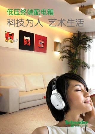 低压终端配电箱