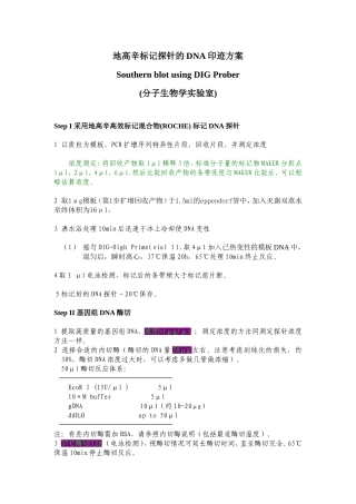 地高辛标记探针的Southern印迹方案