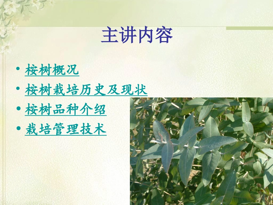 桉树速生丰产栽培管理技术_第3页