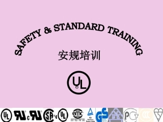 UL1005电熨斗安规讲解
