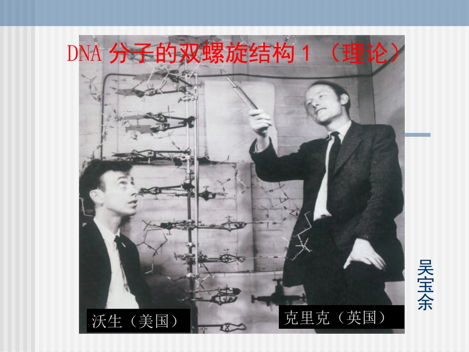 DNA分子的双螺旋结构1(新理论)_第1页