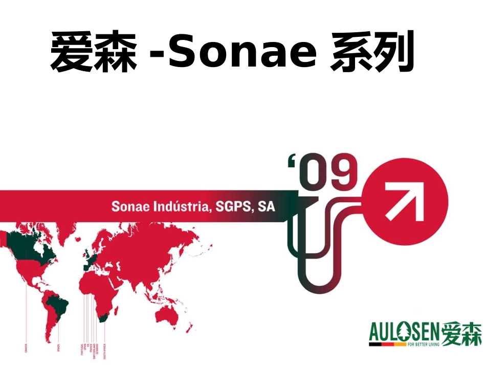 Sonae-德国爱森_第1页