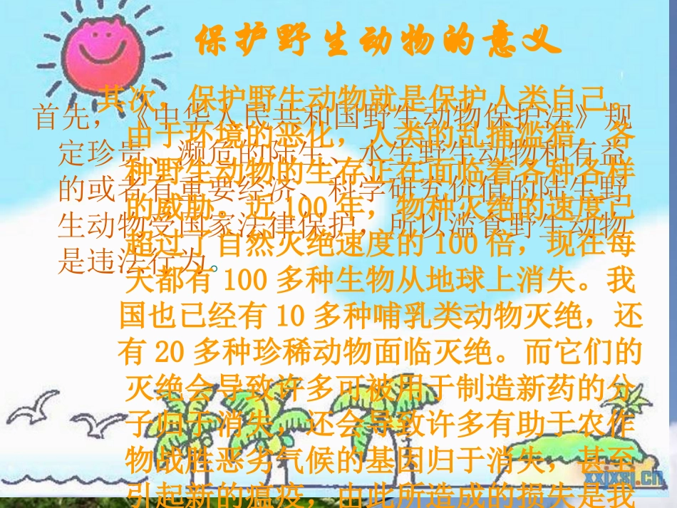 保护野生动班会(成品)_第2页