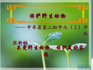 保护野生动班会(成品)