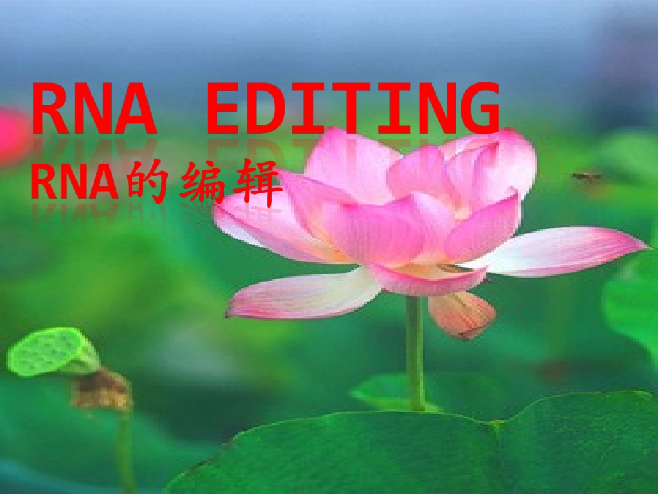 RNA_编辑_第1页