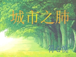 城市之肺ppt