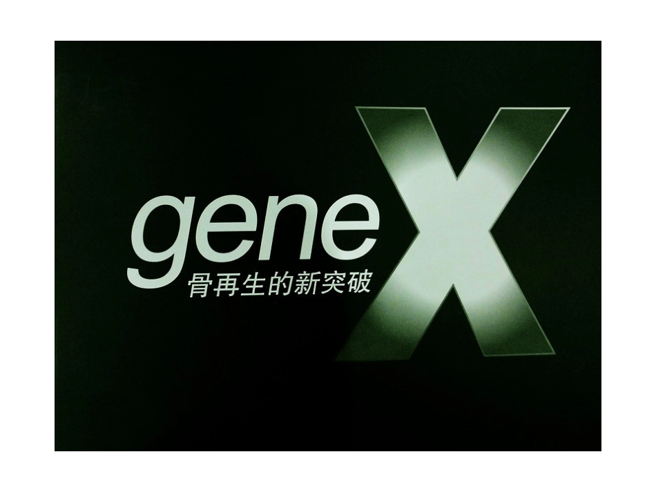 genex 人工骨粉_第1页