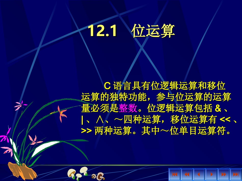 C12位运算_第1页
