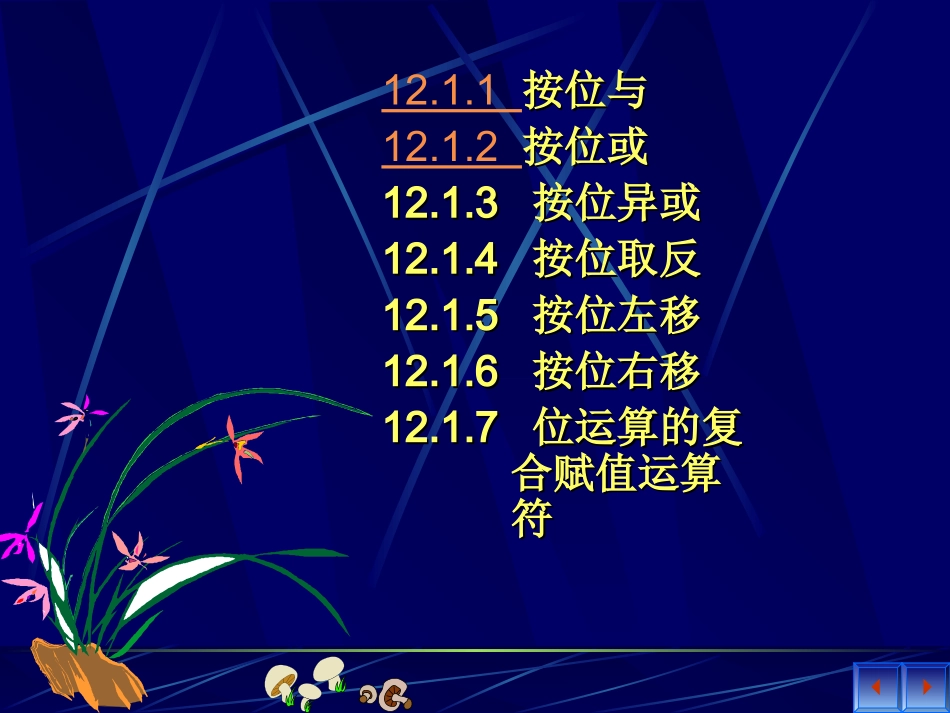 C12位运算_第2页
