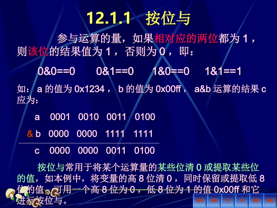 C12位运算_第3页