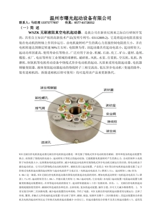 WSZK无刷液阻真空电机起动器图解详细说明书