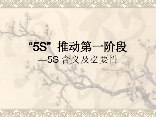 “5S”推行