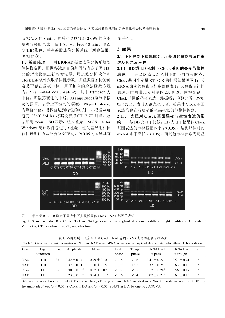 大鼠松果体Clock基因和苏烷脘N-乙酰转移酶基因的昼夜节律性表达及光照影响_第3页