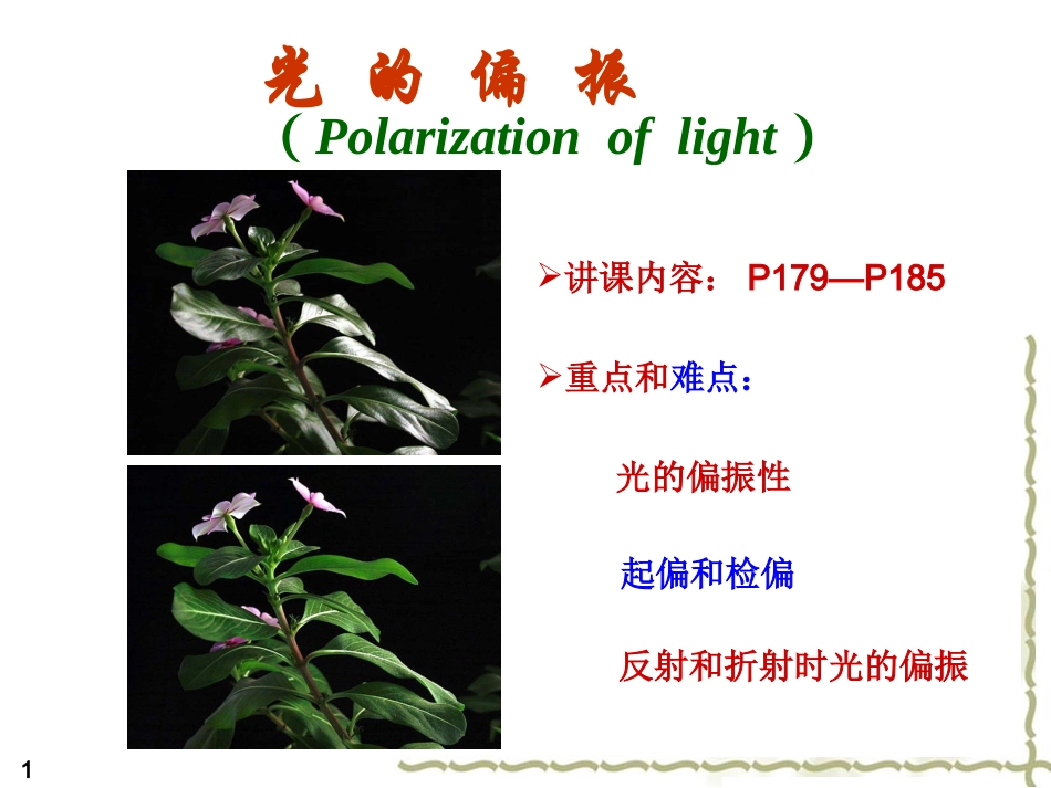 大学物理lesson21_第1页