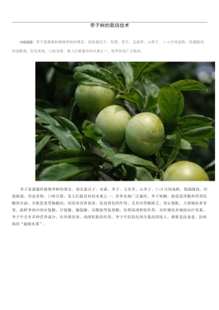 李子树的栽培技术