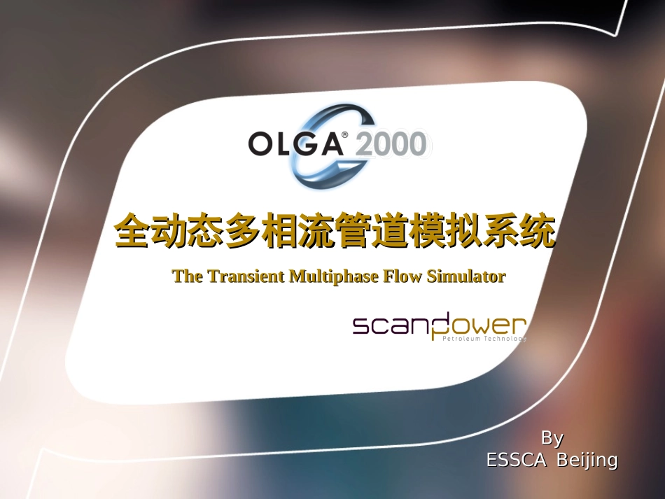 OLGA演示_第1页