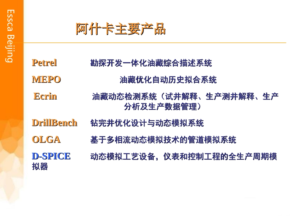 OLGA演示_第3页