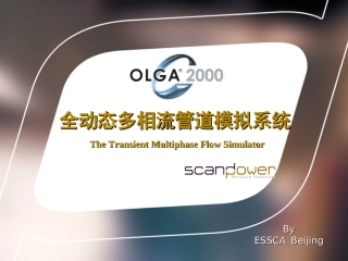 OLGA演示