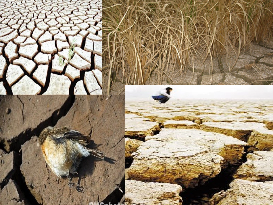 【七颗钻石】自制课件_第3页