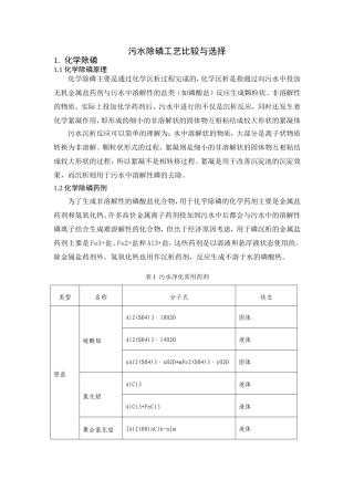 除磷工艺比较与选择