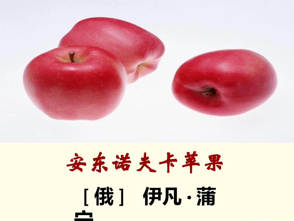 安东洛夫卡苹果(优秀课件)_第1页