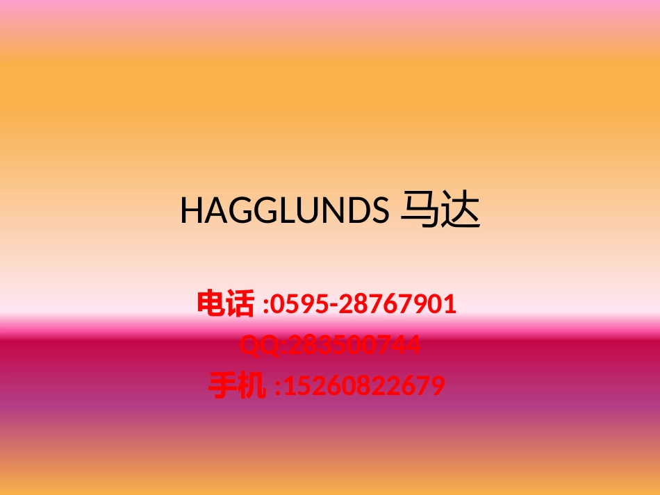 HAGGLUNDS马达_第1页