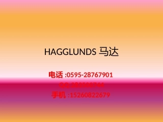 HAGGLUNDS马达