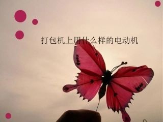打包机上用什么样的电动机